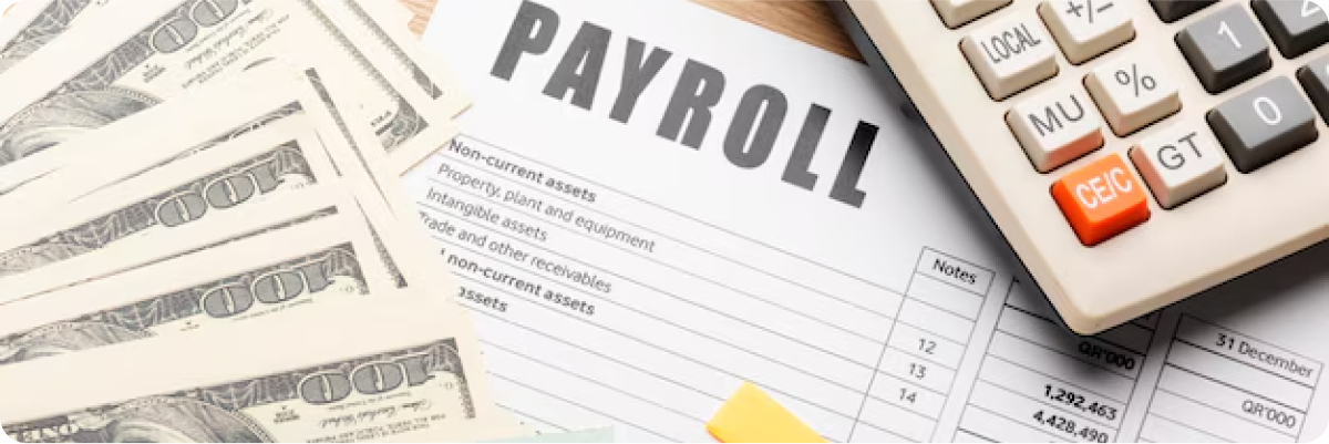 Payroll Ease product overview background